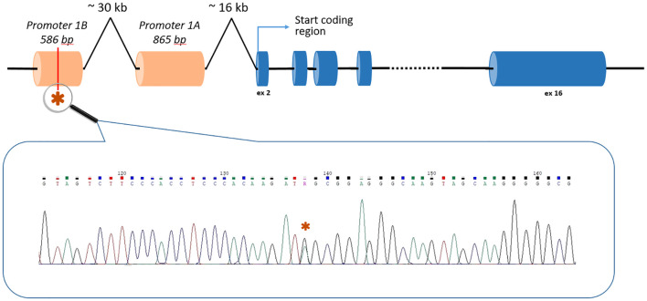 Figure 1
