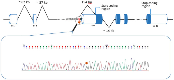Figure 2