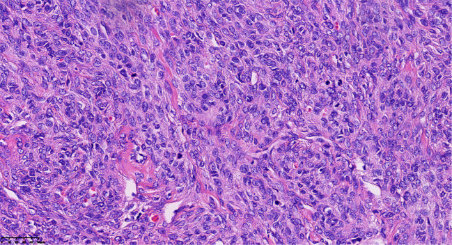 Figure 3
