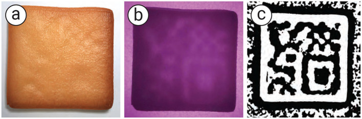 Figure 9