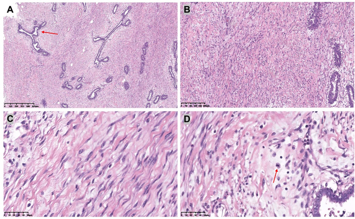 Figure 3