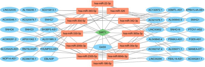 Figure 2