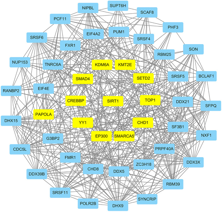 Figure 4