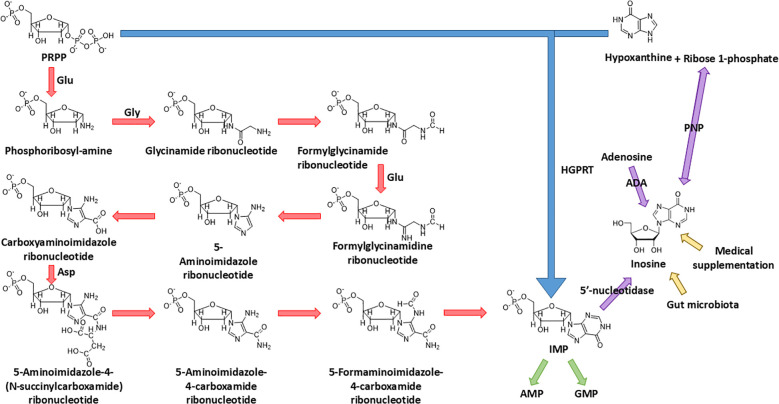 Figure 1