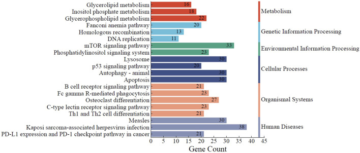 FIGURE 6