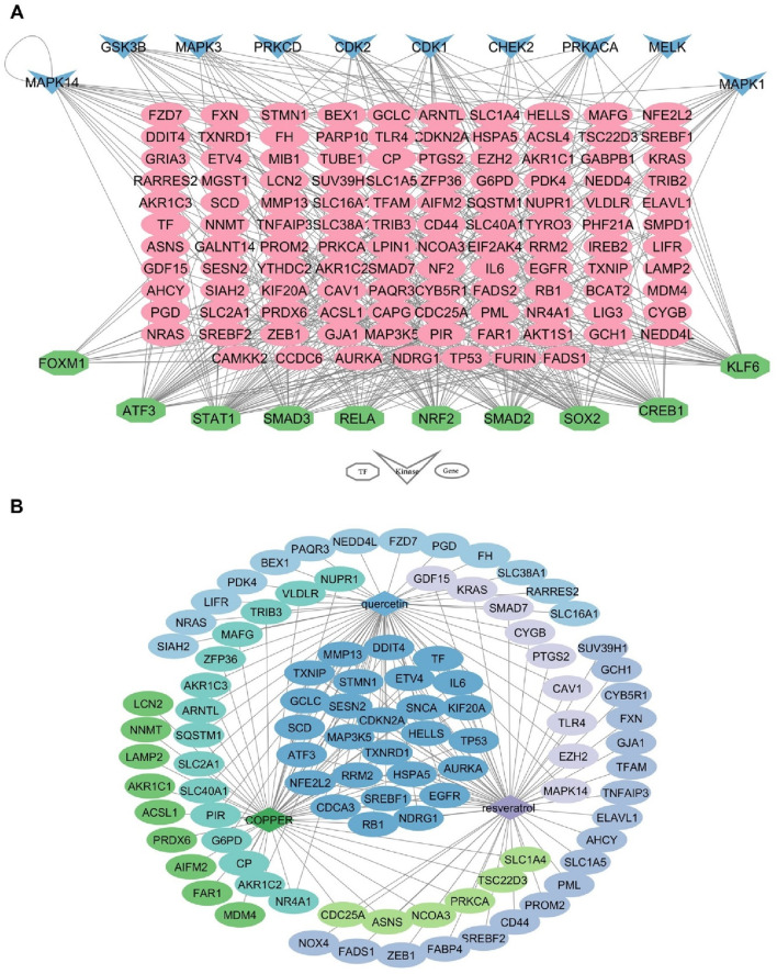 FIGURE 4