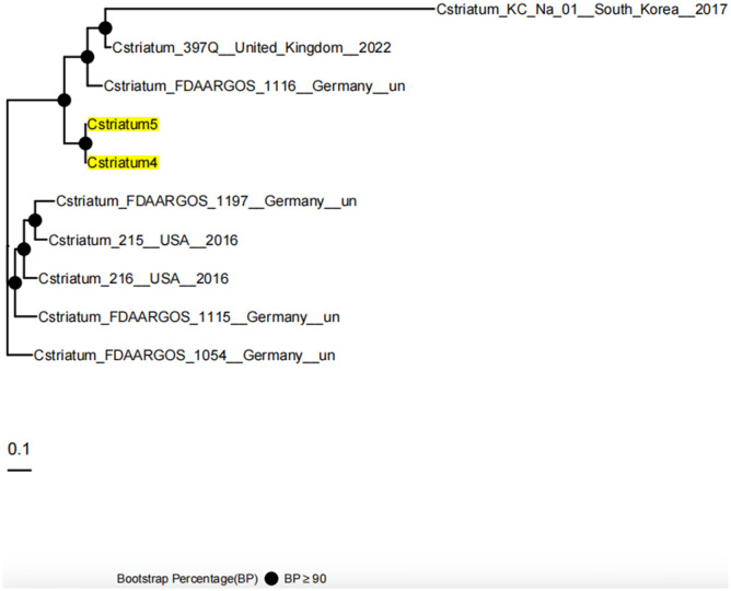 Figure 3