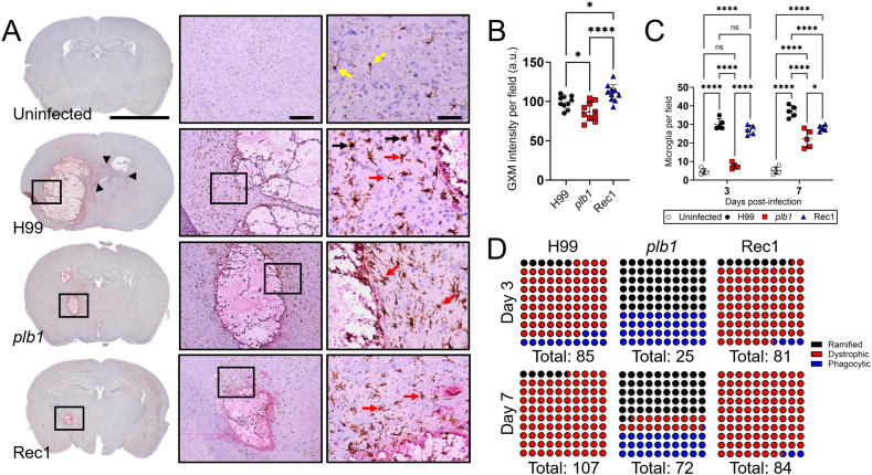 Figure 3