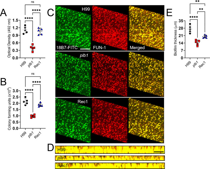 Figure 4