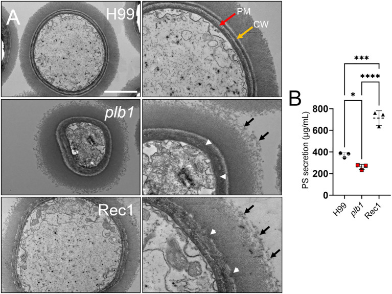 Figure 9