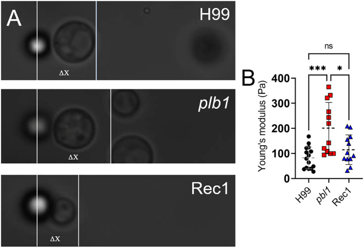 Figure 10