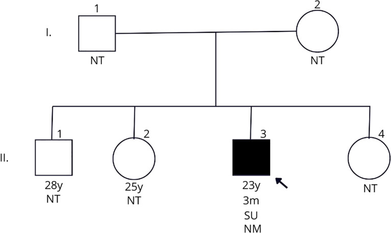 Figure 1
