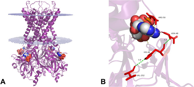 Figure 4