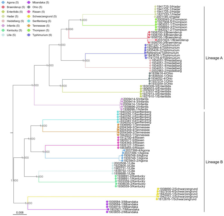 Figure 6