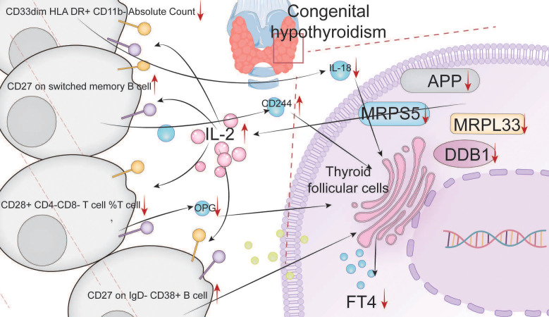 Figure 6