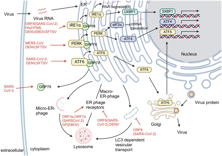 Figure 4