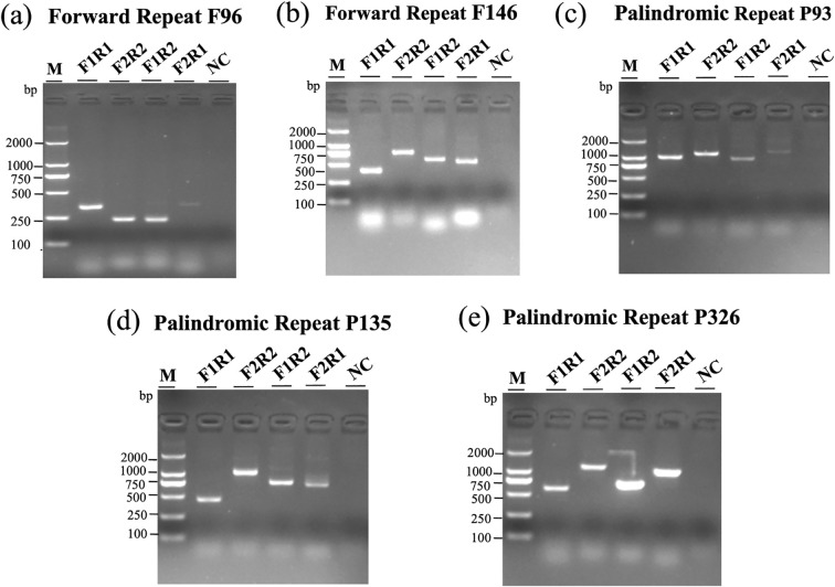 Figure 4
