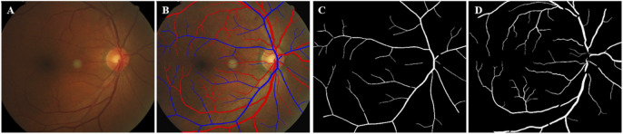FIGURE 2