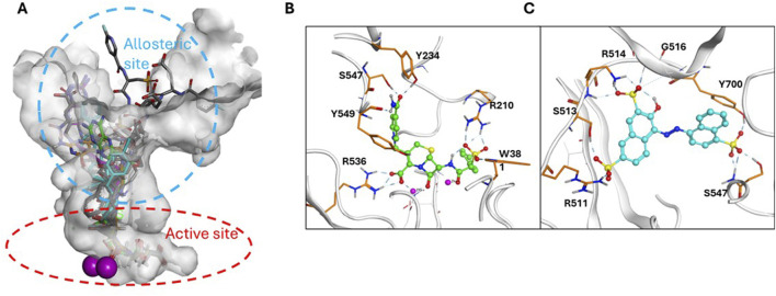 FIGURE 5
