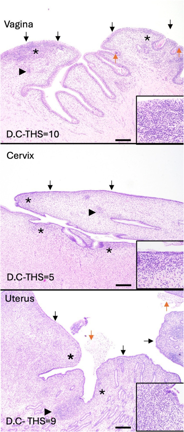 Figure 4