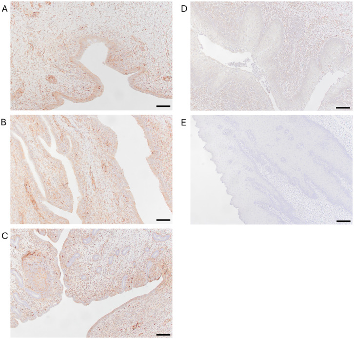 Figure 5