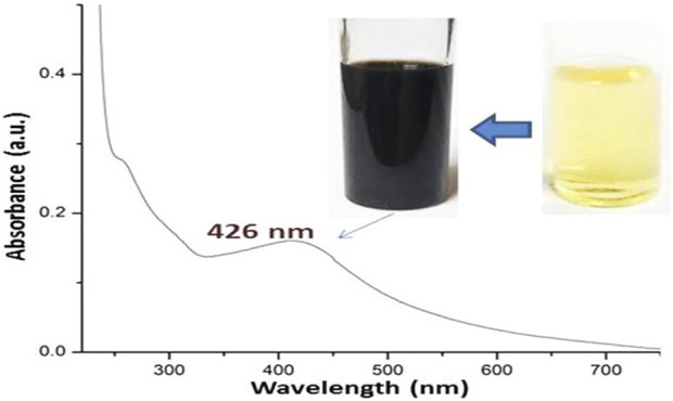FIGURE 1