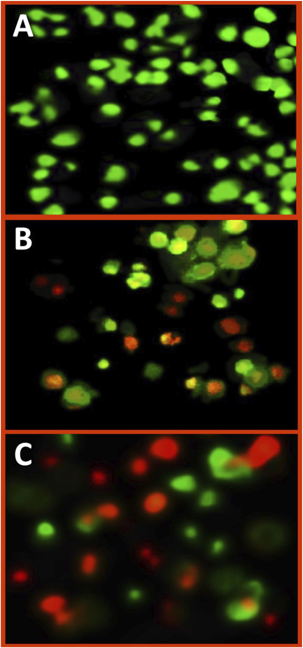 FIGURE 4