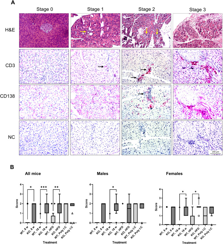 Figure 3