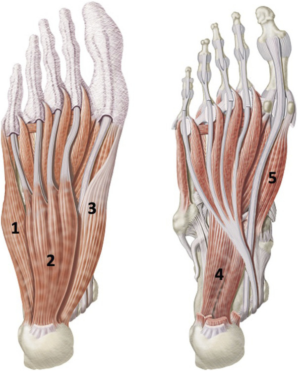 FIGURE 4