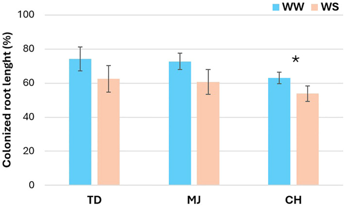 Figure 1