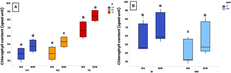 Figure 4