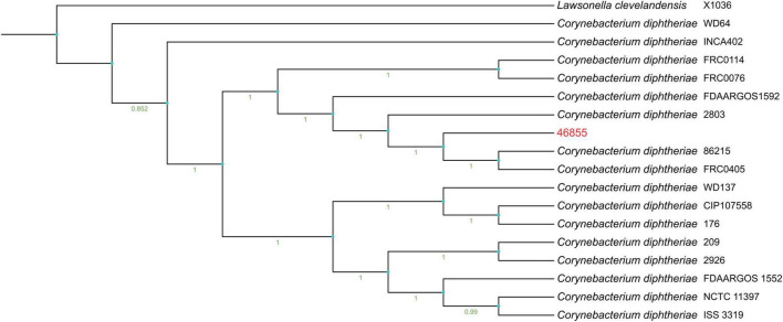 FIGURE 1