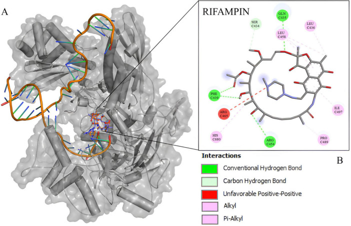 FIGURE 2