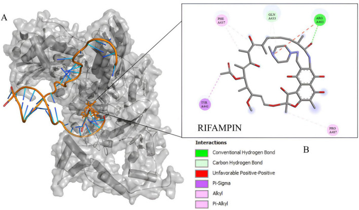 FIGURE 3