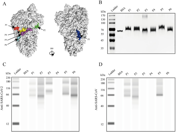 Figure 1