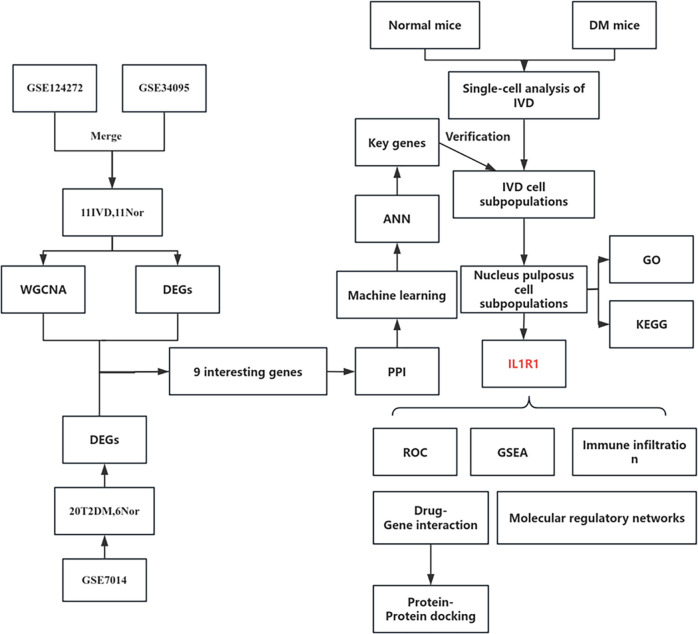 Figure 1