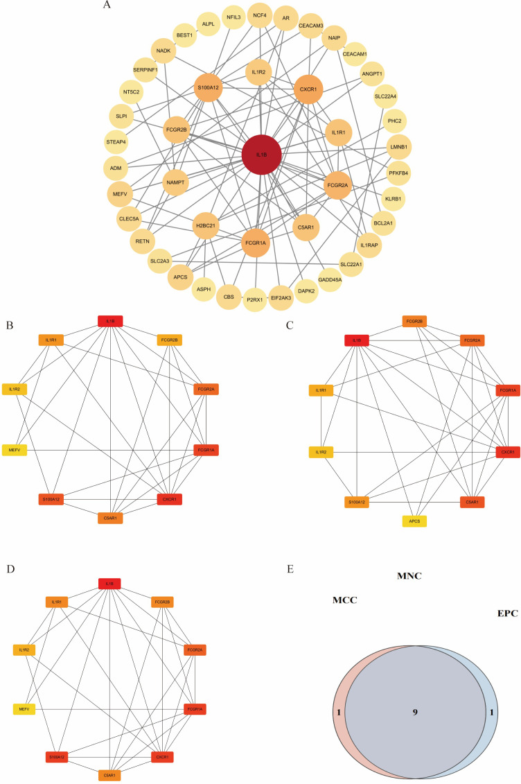Figure 6