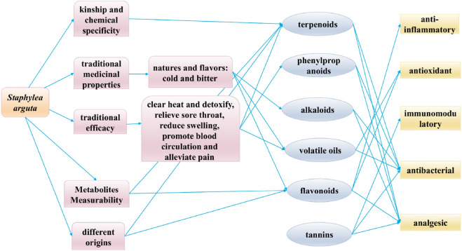 FIGURE 13