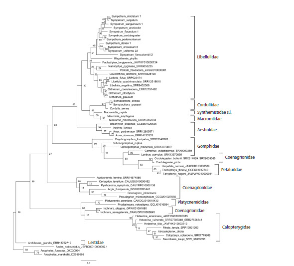 Fig. 4