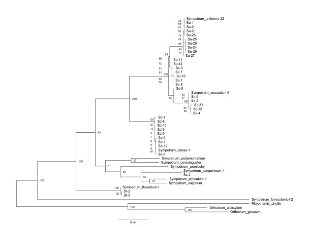 Fig. 6