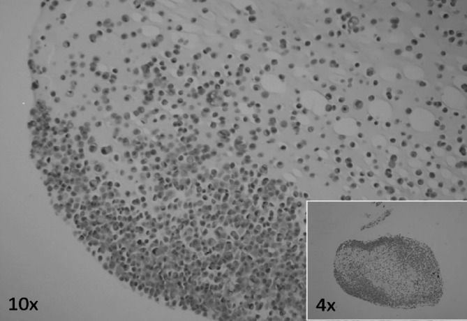 Figure 6