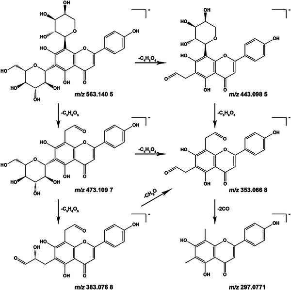 FIGURE 2