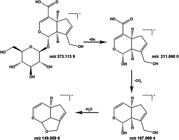 FIGURE 3