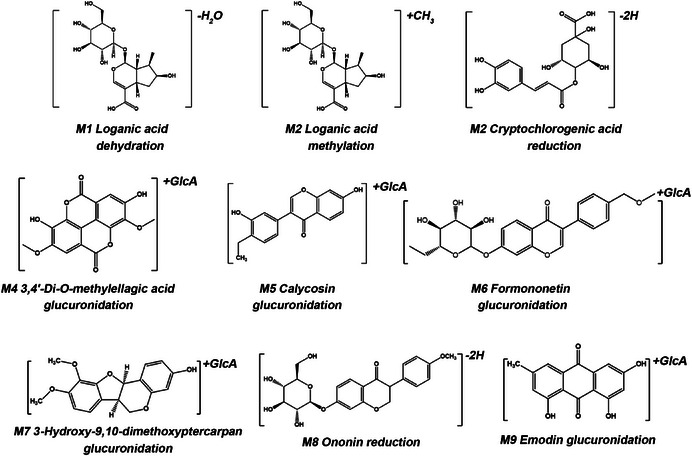 FIGURE 9