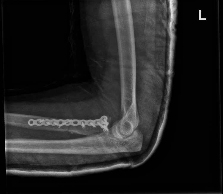 Figure 8