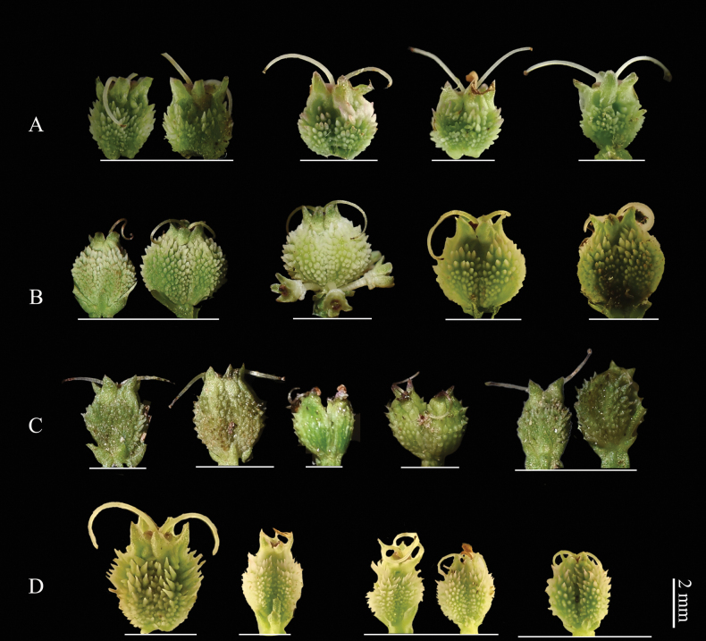 Figure 11