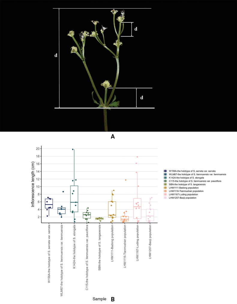 Figure 15