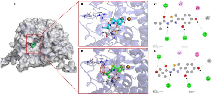 FIGURE 2
