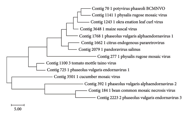 Figure 7