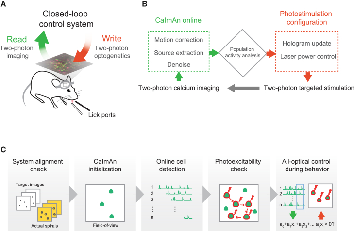 Figure 2